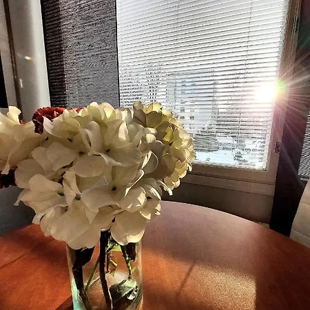 2 Bedroom Cityhome 1-6 Pers, Wifi, Washing Machine Апартаменты Турку